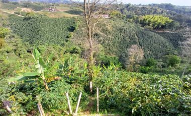 finca en venta en vereda la india. Cod V408412