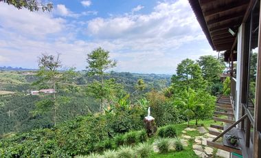 finca en venta en vereda la india. Cod V408412