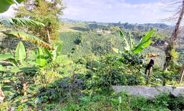 finca en venta en vereda la india. Cod V408412