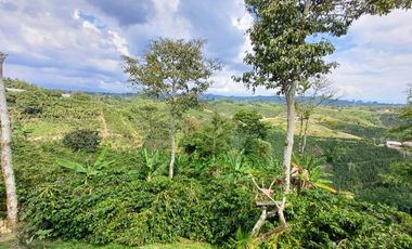 finca en venta en vereda la india. Cod V408412