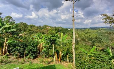 finca en venta en vereda la india. Cod V408412