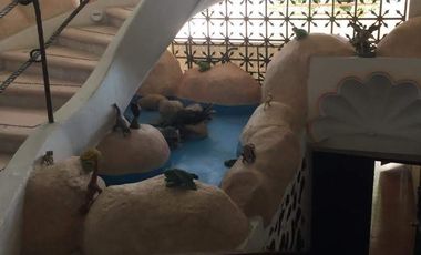 EN VENTA CASA EN ACAPULCO DORADO, FRACCIONAMIENTO MOZIMBA, VISTA A LA BAHIA