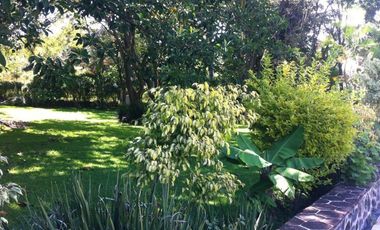 CONDOMINIO IMURI LOMAS DE JIUTEPEC