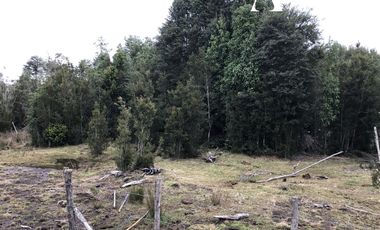 Sitio en Venta en Colonia la poza, Ruta V-605, km 9