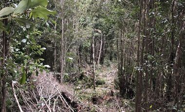 Sitio en Venta en Colonia la poza, Ruta V-605, km 9