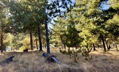 Parcela en Venta en Loteo Alto Boyeruca, Comuna de Vichuquén