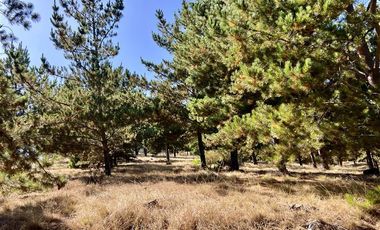 Parcela en Venta en Loteo Alto Boyeruca, Comuna de Vichuquén