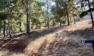 Parcela en Venta en Loteo Alto Boyeruca, Comuna de Vichuquén