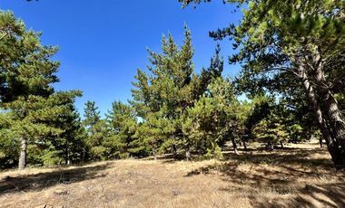 Parcela en Venta en Loteo Alto Boyeruca, Comuna de Vichuquén