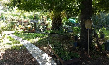 CASA QUINTA EN FRANCISCO ALVAREZ IDEAL INVERSORES 40 MTS SOBRE RUTA 5