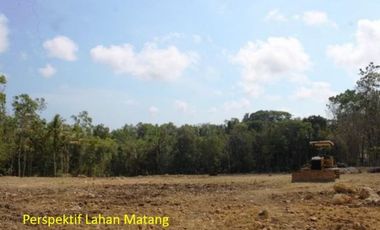 Tanah Dekat SMPN 8 Pemalang, SHM Darat, Harga 950 Rb-an