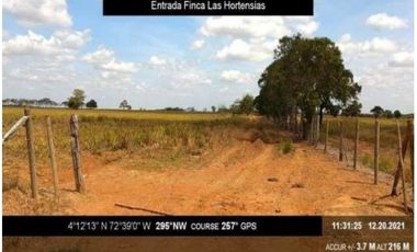 VENTA DE FINCA LA GLORIA VEREDA REMOLINO, META, 150 HECTREAS