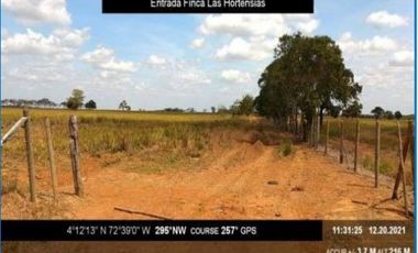 VENTA DE FINCA LA GLORIA VEREDA REMOLINO, META, 150 HECTREAS
