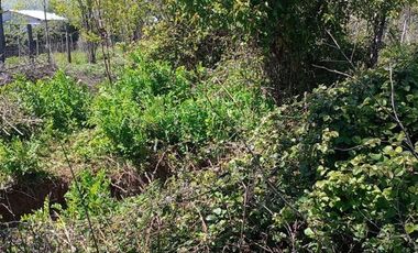 Sitio en Venta en 6 sur 2623