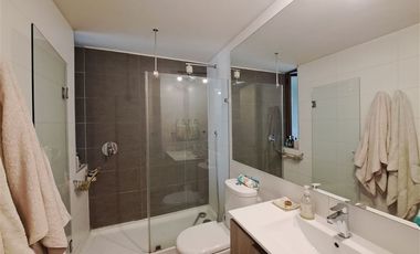 Departamento en Venta en Padre Pedro Lautaro Ferrer / Los Leones