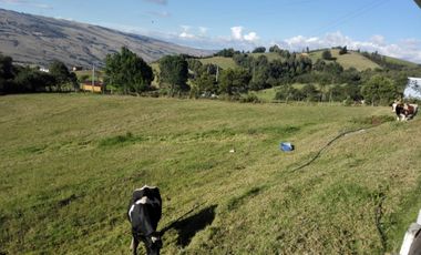 FINCA SUESCA CUNDINAMARCA VENTA O PERMUTA