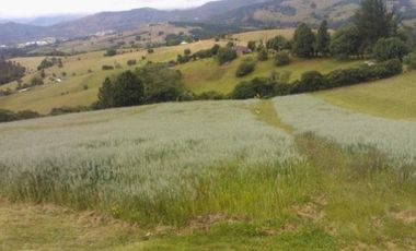 FINCA SUESCA CUNDINAMARCA VENTA O PERMUTA