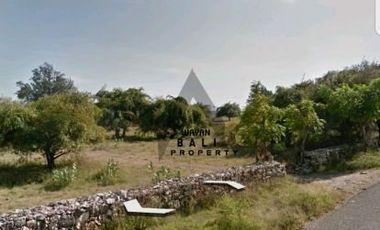 Tanah Beachfront Tepi Pantai Puru Kambera Sumba Timur