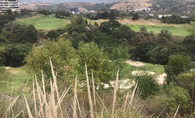 TERRENO PARA DESARROLLADORES BOSQUE REAL PARA 4 INDIVISOS.