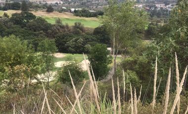 TERRENO PARA DESARROLLADORES BOSQUE REAL PARA 4 INDIVISOS.