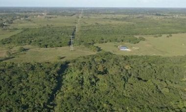 Terreno en Campeche en venta 552 h Planas sobre carretera Villahermosa-Escárcega