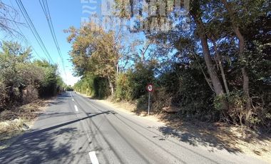 Sitio en Arriendo en Liray/ Lo Pinto