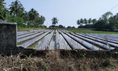 DIJUAL CEPAT Tanah di Panimbang Banten 1.5 Ha PINGGIR JALAN