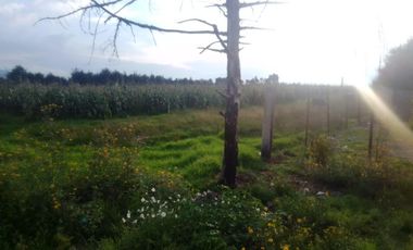 Terrenos en Venta en La Cabecera