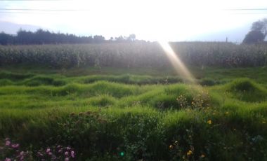 Terrenos en Venta en La Cabecera