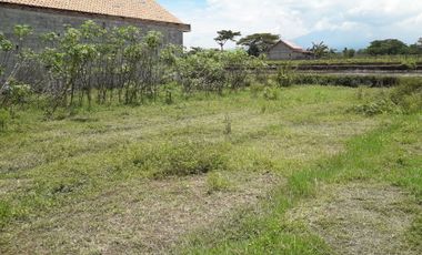 Tanah SHMP cocok buat hunian Manisrenggo utara Candi Prambanan