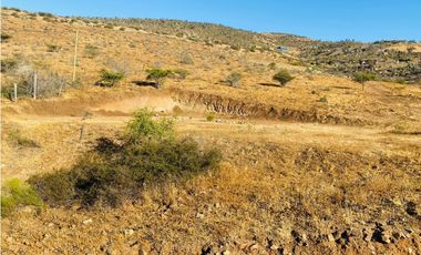 Se Vende Parcela 8400m2 Las Acacias 2 El Maitén Sur Illapel
