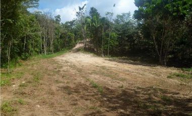 FINCA EN PENONOME CHIGUIRI ABAJO 5.1 HECTREAS