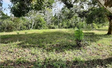 FINCA EN PENONOME CHIGUIRI ABAJO 5.1 HECTREAS
