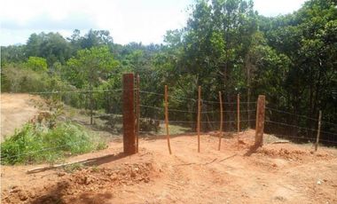 FINCA EN PENONOME CHIGUIRI ABAJO 5.1 HECTREAS