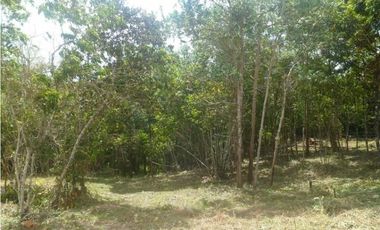 FINCA EN PENONOME CHIGUIRI ABAJO 5.1 HECTREAS