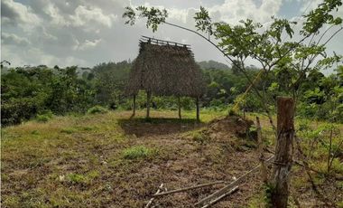 FINCA EN PENONOME CHIGUIRI ABAJO 5.1 HECTREAS