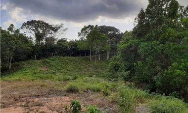 FINCA EN PENONOME CHIGUIRI ABAJO 5.1 HECTREAS