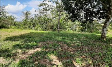 FINCA EN PENONOME CHIGUIRI ABAJO 5.1 HECTREAS