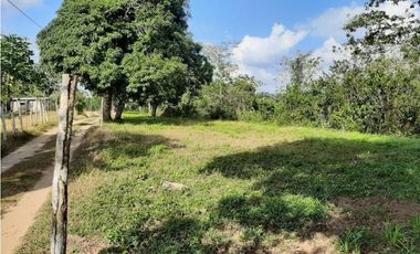 FINCA EN PENONOME CHIGUIRI ABAJO 5.1 HECTREAS