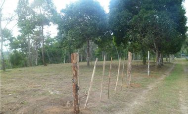 FINCA EN PENONOME CHIGUIRI ABAJO 5.1 HECTREAS