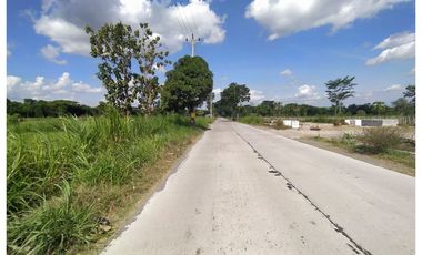 Bangunan Cantik 1 Lantai Berkonsep Scandinavian Modern Di Nangsri