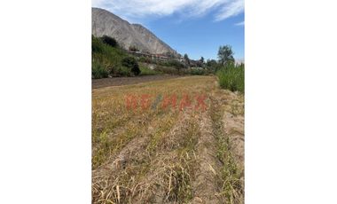 En Venta Terreno En Lunahuana