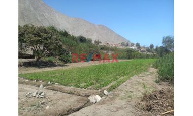 En Venta Terreno En Lunahuana