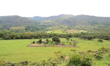 VENTA de FINCAS en TOLIMA