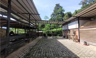 Lote en Amaga (Suroeste Antioqueño)