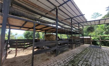 Lote en Amaga (Suroeste Antioqueño)