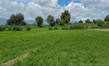 Venta Terreno En Tehuacán - 32,000 M2