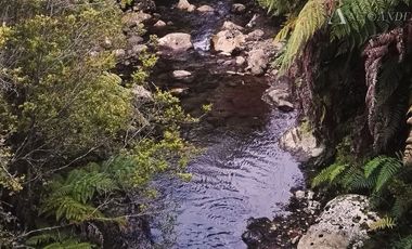 Sitio en Venta en sector Rio Sur, Puerto varas