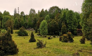 Sitio en Venta en sector Rio Sur, Puerto varas