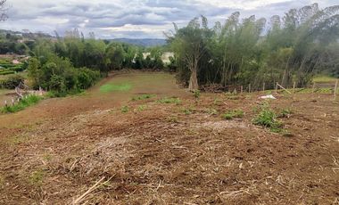 lote en venta en pavas. Cod V16937